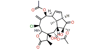 Aquariolide A